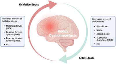 Dysfunctional mitochondrial processes contribute to energy perturbations in the brain and neuropsychiatric symptoms